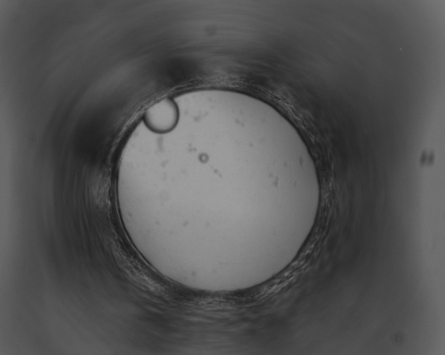 X0000091660146200708301445