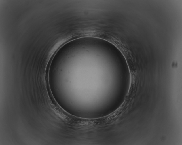 X0000091660147200708301445