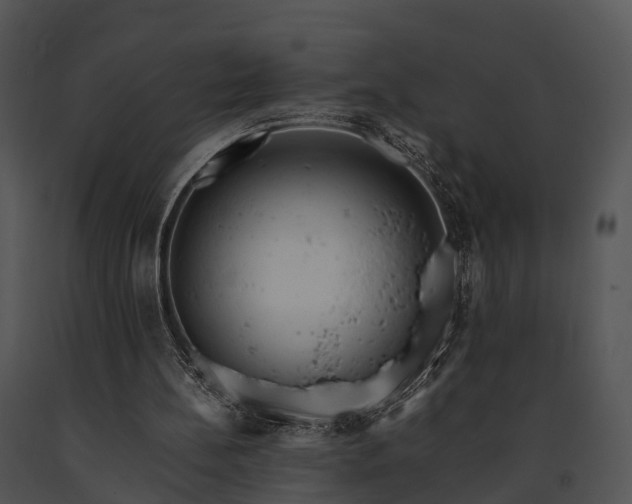 X0000091660148200708301445