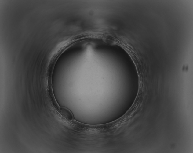 X0000091660149200708301445