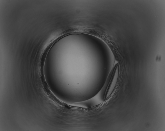 X0000091660150200708301445