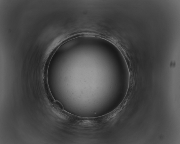 X0000091660151200708301445