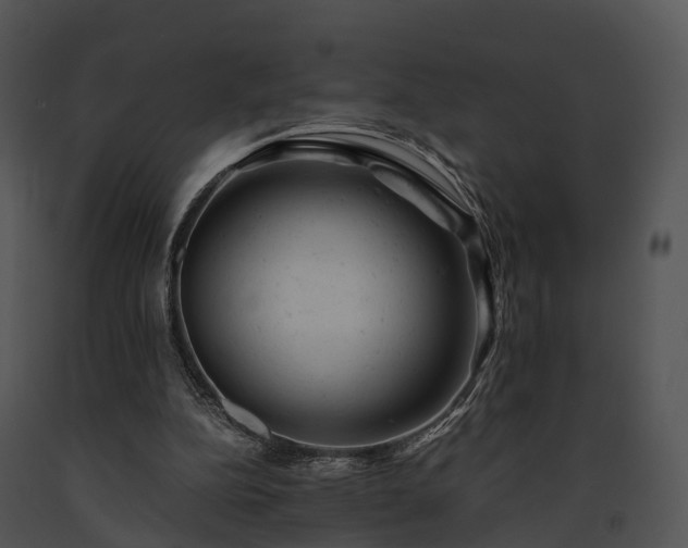 X0000091660152200708301445