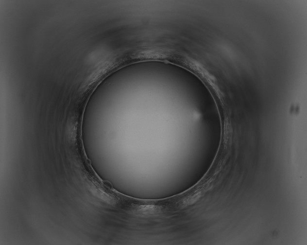 X0000091660153200708301445