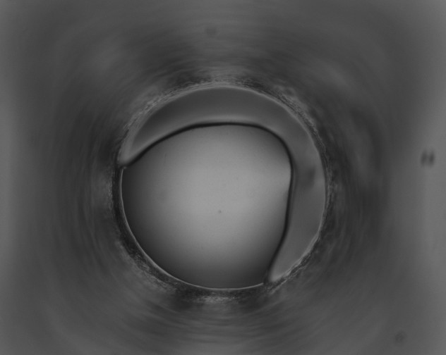 X0000091660154200708301445