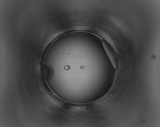 X0000091660155200708301445