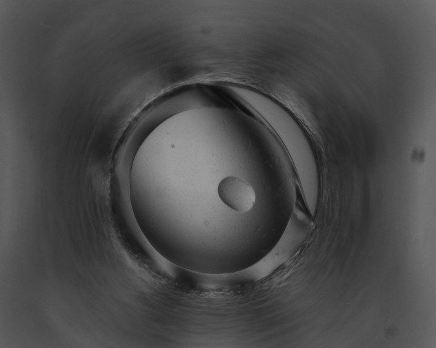 X0000091660156200708301445