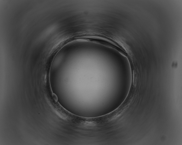 X0000091660157200708301446