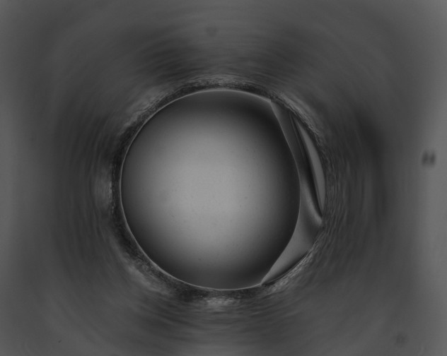 X0000091660158200708301446