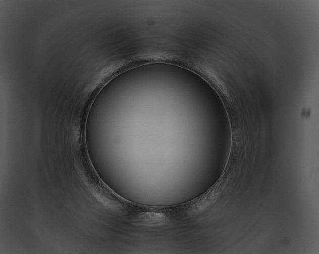 X0000091660159200708301446