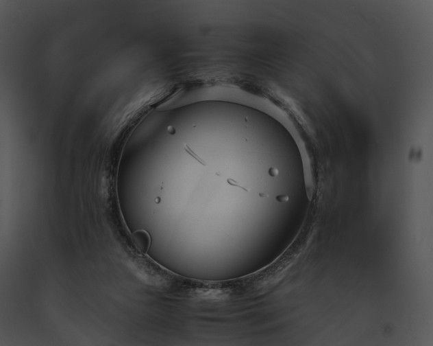 X0000091660161200708301446