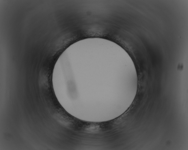 X0000091660162200708301446