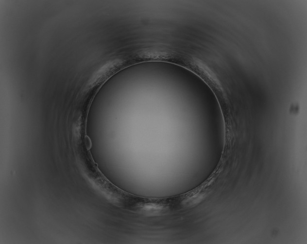 X0000091660163200708301446