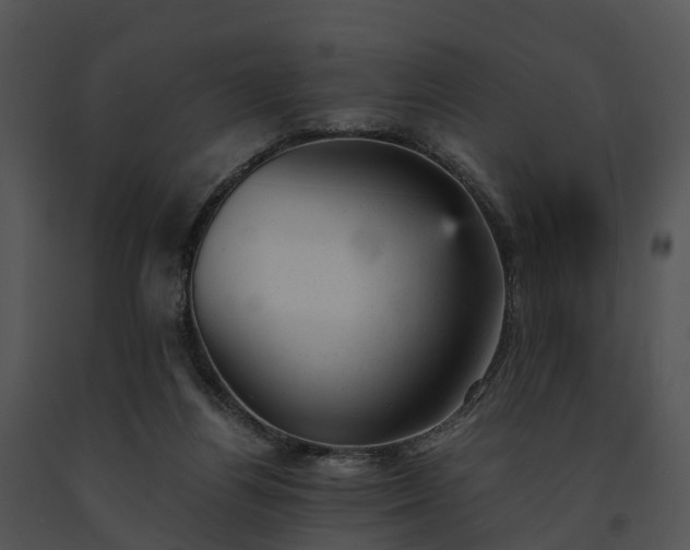 X0000091660164200708301446