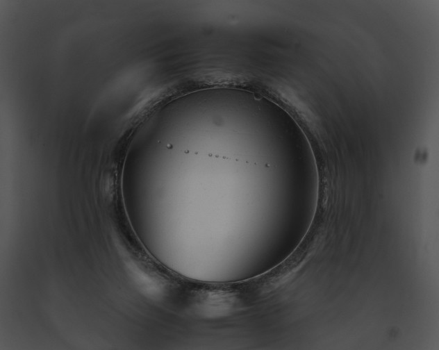 X0000091660165200708301446