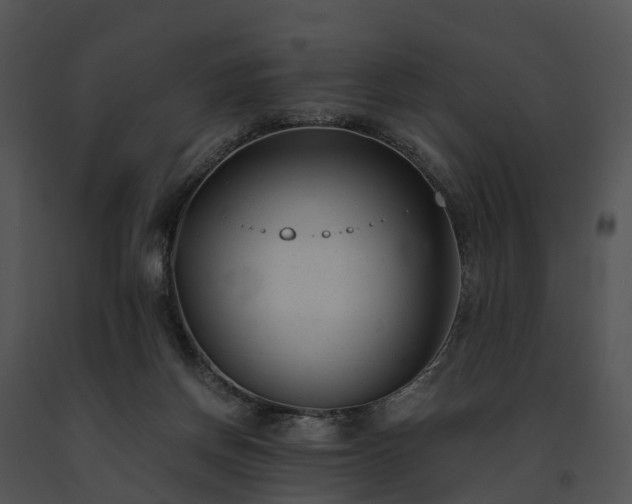 X0000091660166200708301446