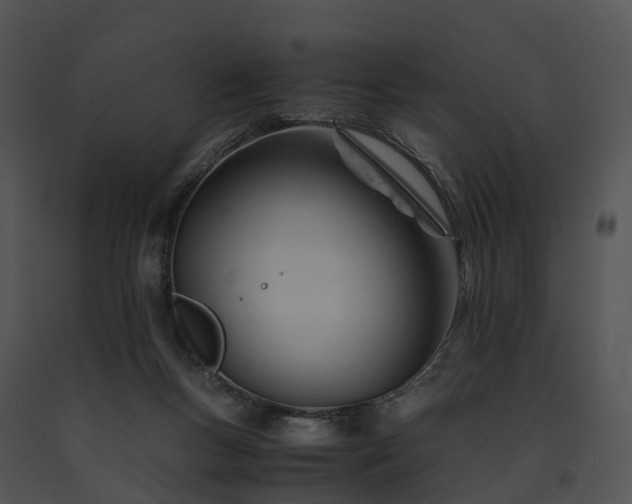 X0000091660167200708301446