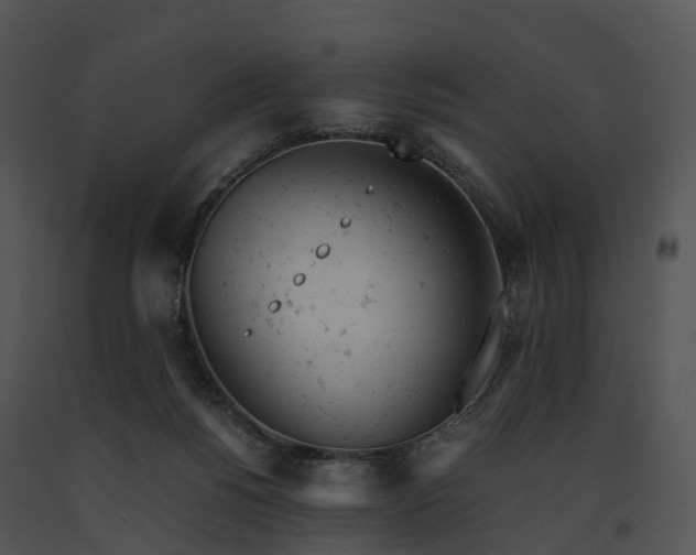 X0000091660168200708301446