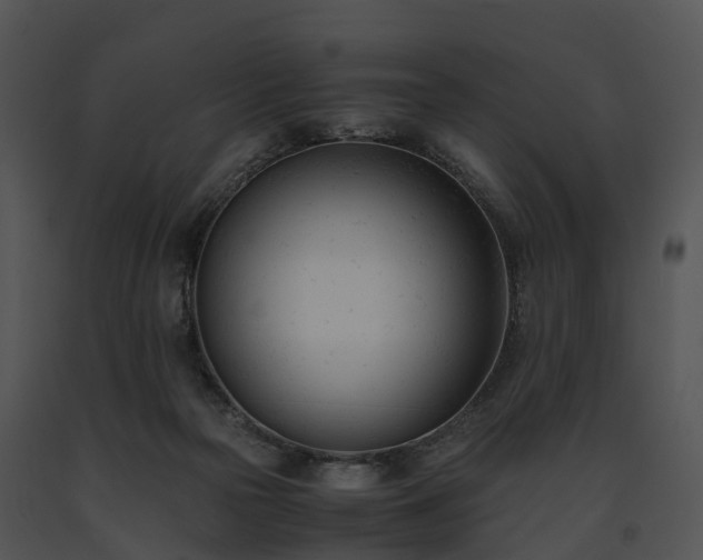 X0000091660169200708301446