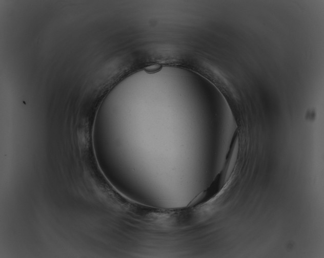 X0000091660170200708301446