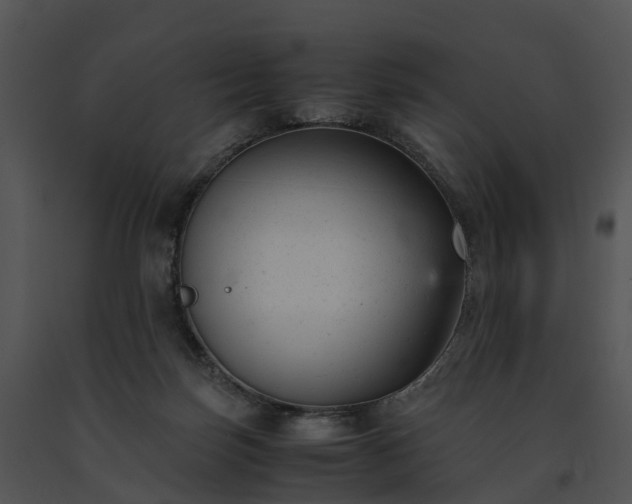 X0000091660171200708301446