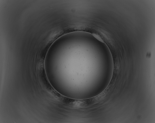 X0000091660172200708301446