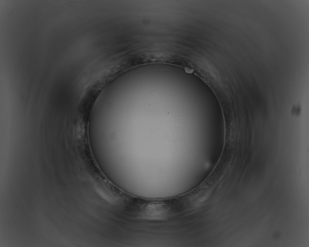 X0000091660173200708301446