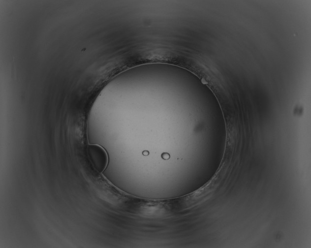 X0000091660175200708301446