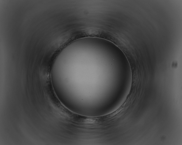 X0000091660176200708301446