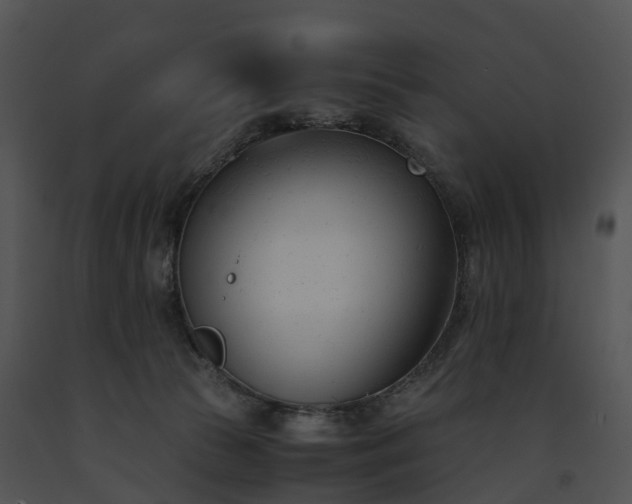 X0000091660177200708301446