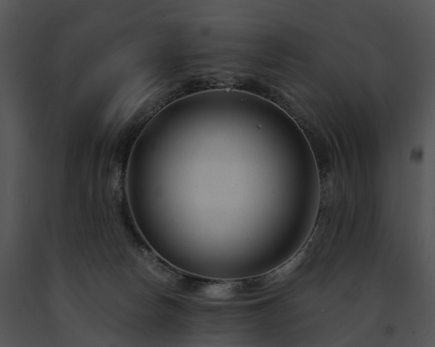 X0000091660178200708301446