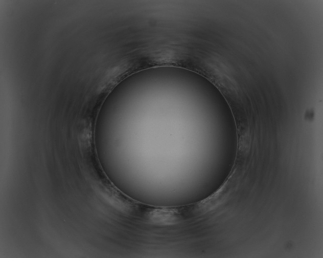 X0000091660179200708301446