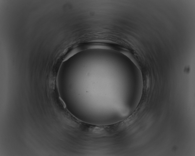 X0000091660180200708301446