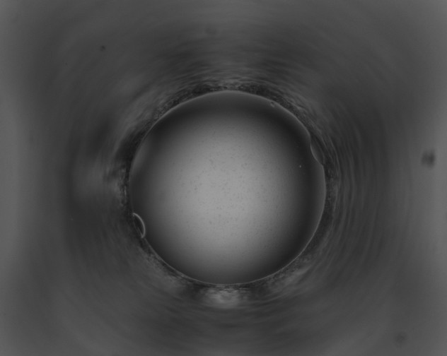 X0000091660181200708301446