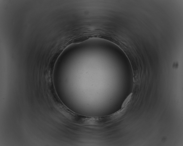 X0000091660182200708301446