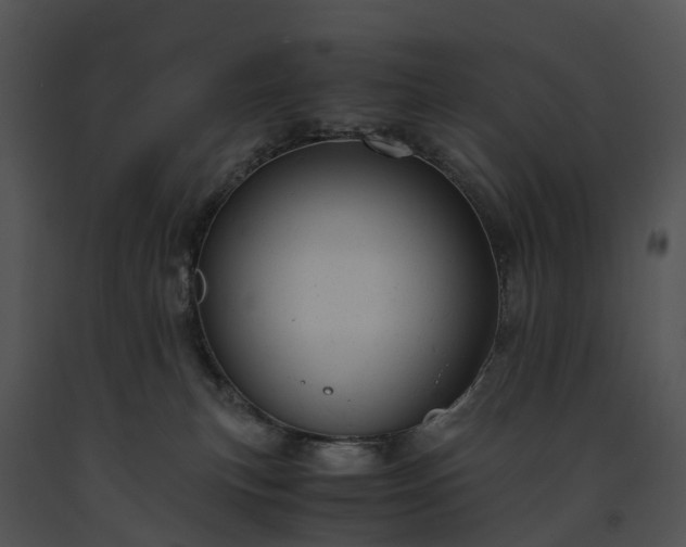 X0000091660183200708301446