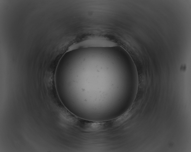 X0000091660184200708301446