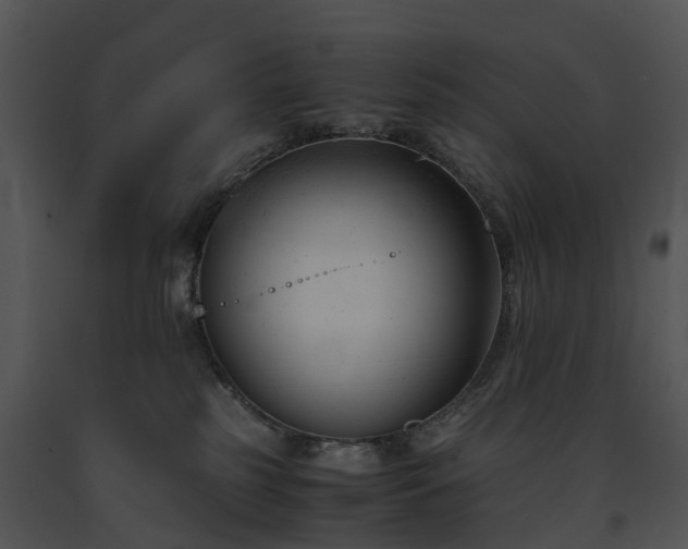 X0000091660185200708301446