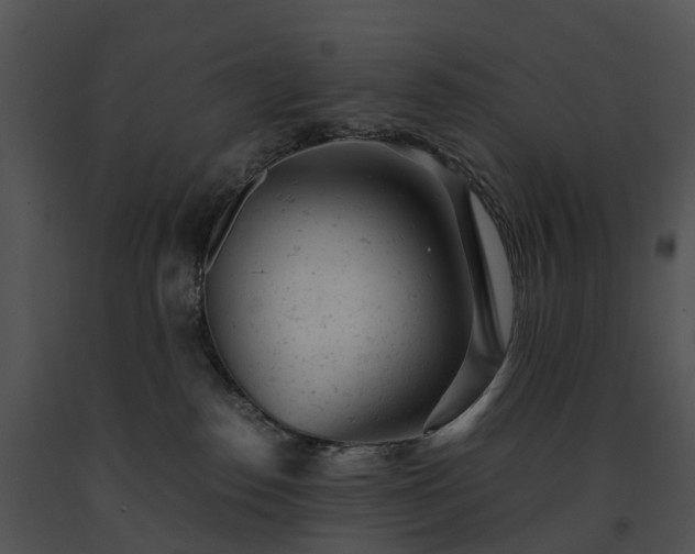 X0000091660186200708301446