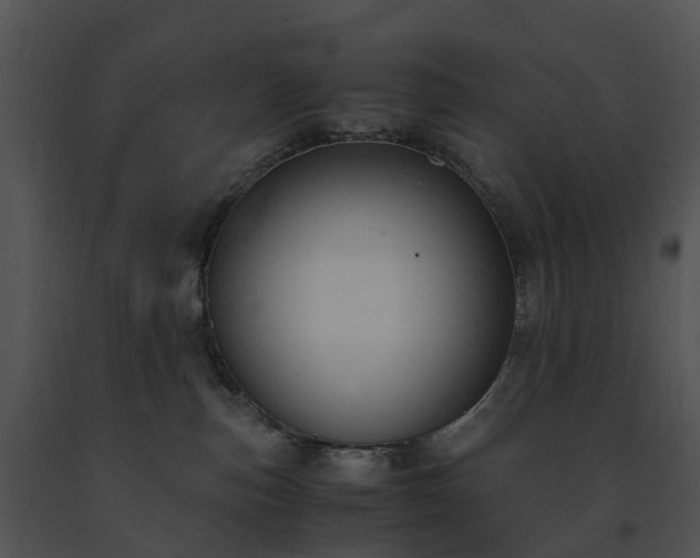 X0000091660187200708301446