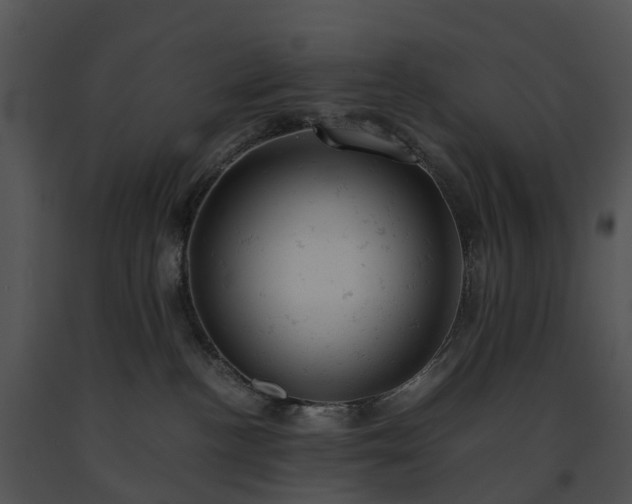 X0000091660188200708301446