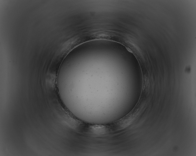 X0000091660189200708301446