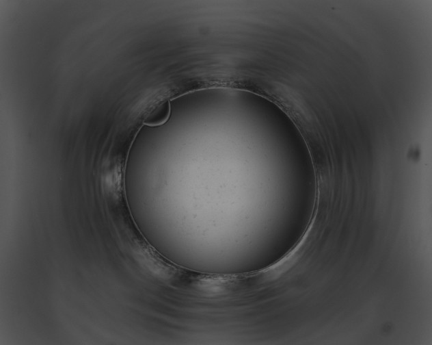 X0000091660190200708301446