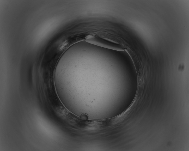 X0000091660191200708301446