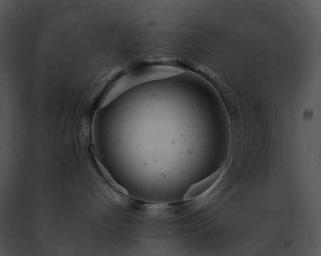 X0000091660192200708301446