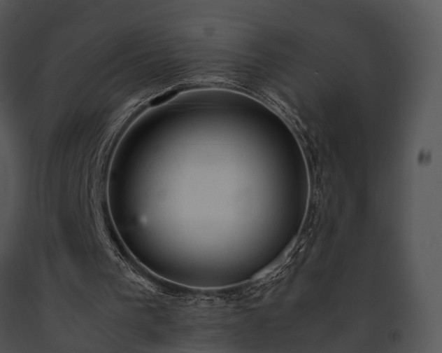 X0000091660193200708301445