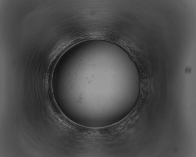 X0000091660194200708301445