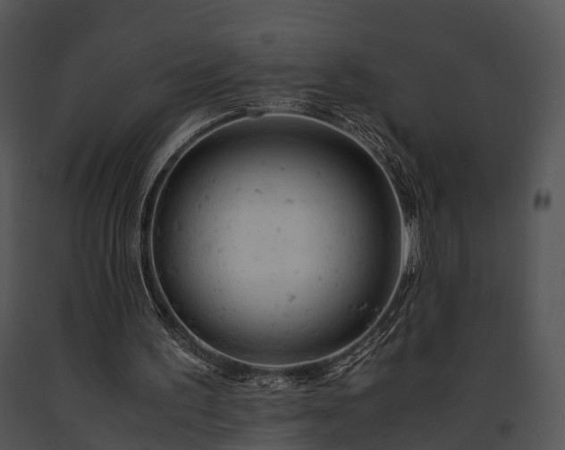 X0000091660195200708301445