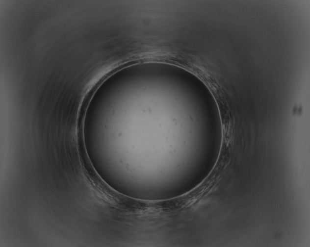 X0000091660196200708301445