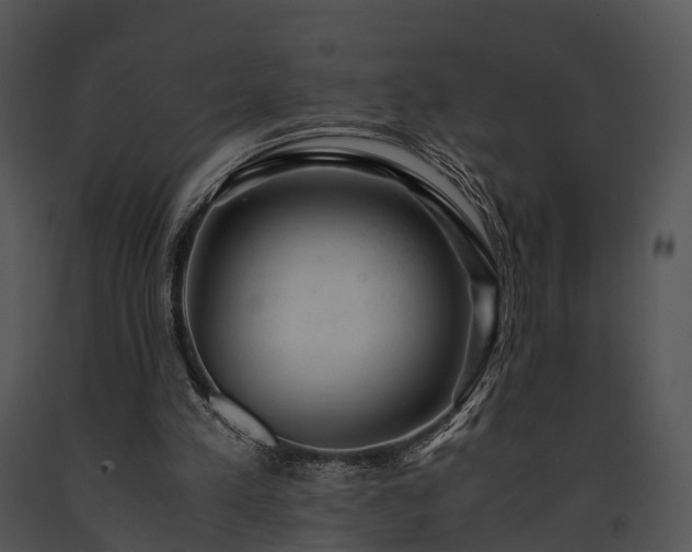 X0000091660197200708301445